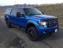 2012 Blue Flame Metallic /Black Leather Interior Ford F-150 FX4 SuperCrew 5.5-ft. Bed 4WD (1FTFW1EF9CF) with an 5.0L V8 engine, 6-Speed Automatic transmission, located at 1801 Main Street, Lewiston, 83501, (208) 743-9371, 46.417065, -117.004799 - Photo#16