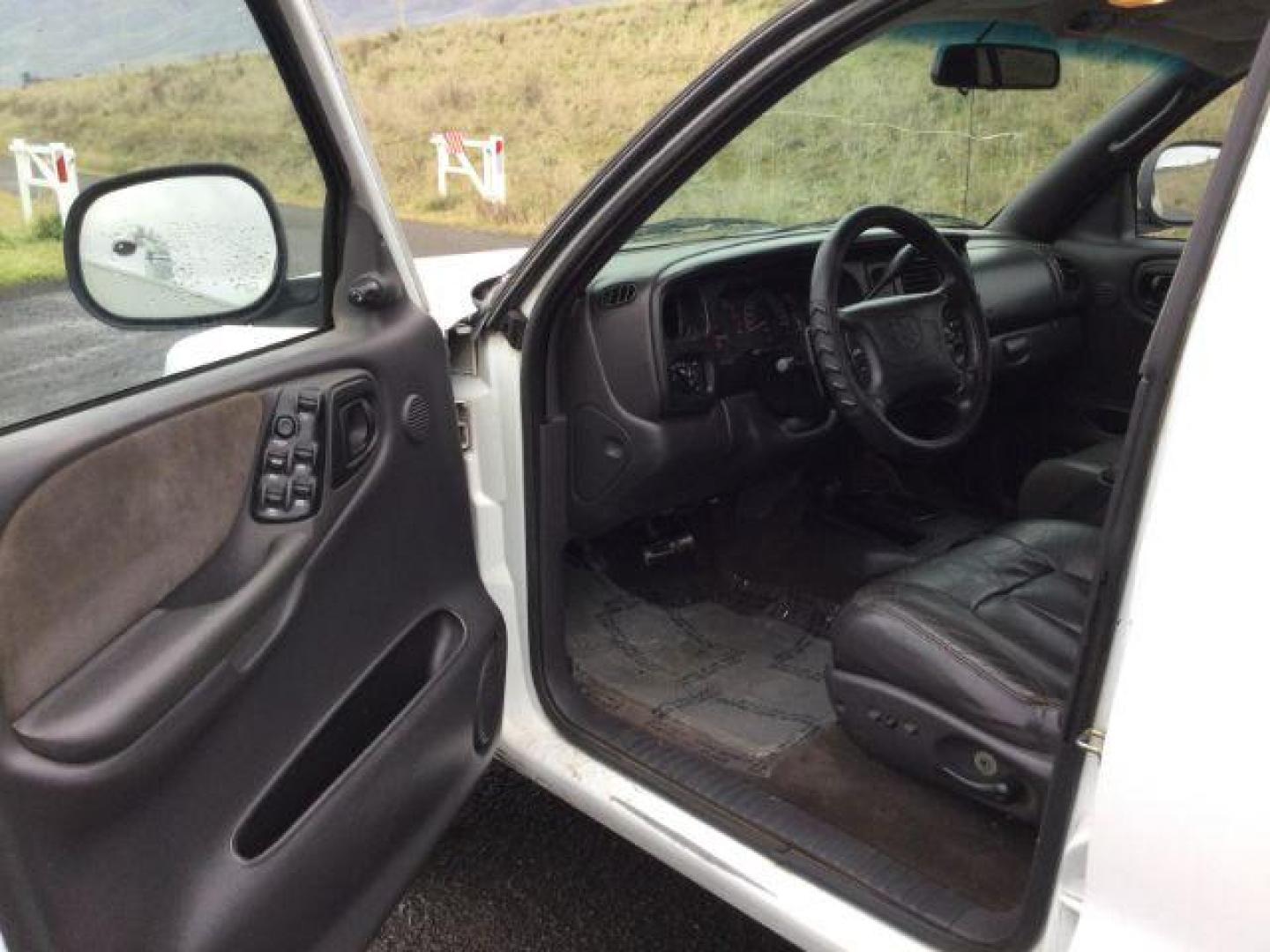 1999 Bright White Clear Coat /black leather Dodge Durango 4WD (1B4HS28Y6XF) with an 5.2L V8 OHV 16V engine, 4-Speed Automatic transmission, located at 1801 Main Street, Lewiston, 83501, (208) 743-9371, 46.417065, -117.004799 - Photo#3