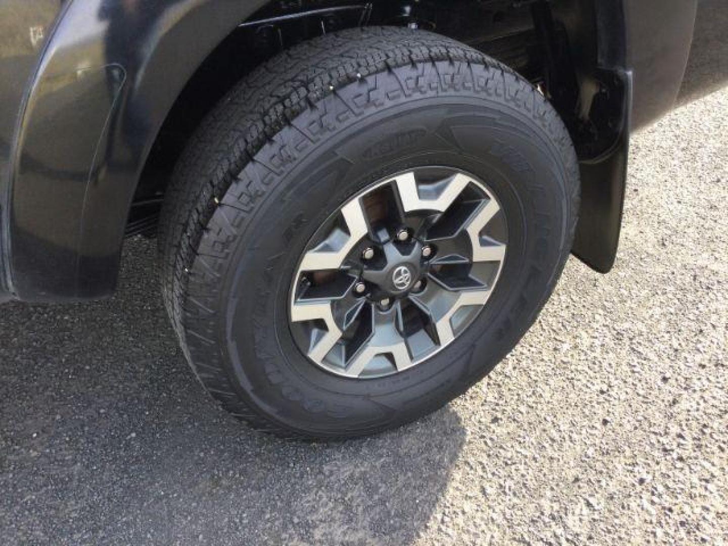 2006 Black Sand Pearl /Graphite Cloth Interior Toyota Tacoma Double Cab V6 4WD (5TELU42N06Z) with an 4.0L V6 DOHC 24V engine, 6-Speed Manual transmission, located at 1801 Main Street, Lewiston, 83501, (208) 743-9371, 46.417065, -117.004799 - Photo#14