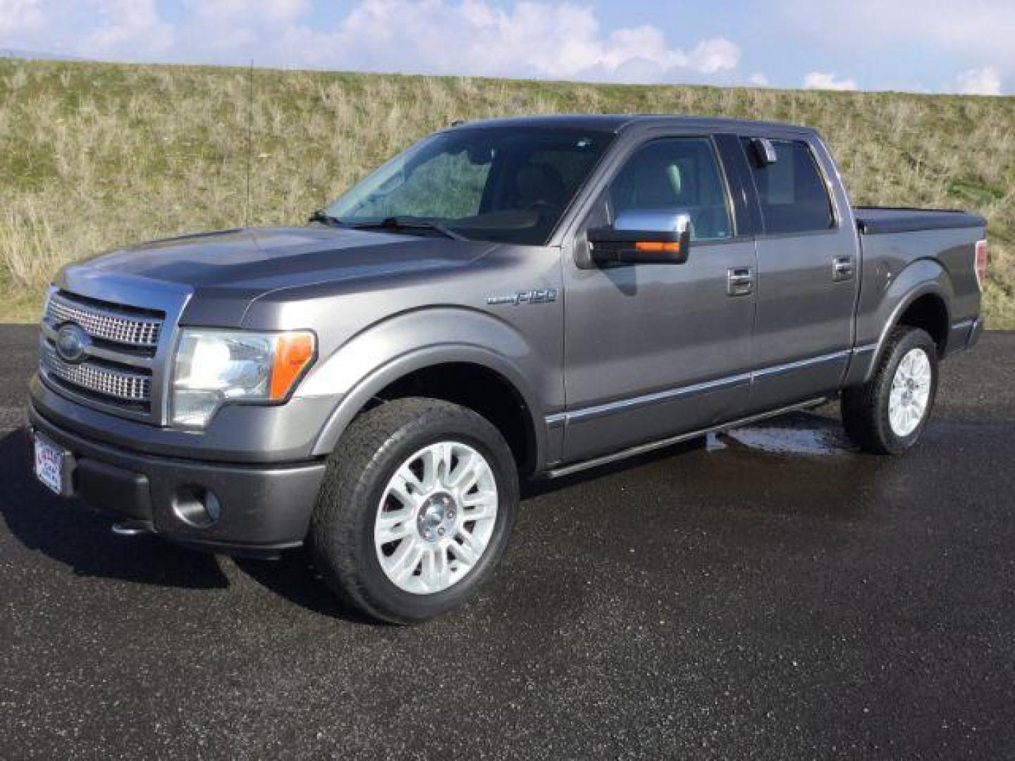 2009 Sterling Gray Metallic /Medium Stone Leather Interior Ford F-150 Platinum crew cab 4x4 (1FTPW14VX9F) with an 5.4L V8 SOHC 24V FFV engine, 4-Speed Automatic transmission, located at 1801 Main Street, Lewiston, 83501, (208) 743-9371, 46.417065, -117.004799 - Photo#0