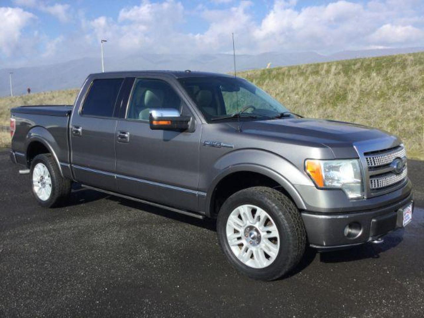 2009 Sterling Gray Metallic /Medium Stone Leather Interior Ford F-150 Platinum crew cab 4x4 (1FTPW14VX9F) with an 5.4L V8 SOHC 24V FFV engine, 4-Speed Automatic transmission, located at 1801 Main Street, Lewiston, 83501, (208) 743-9371, 46.417065, -117.004799 - Photo#15