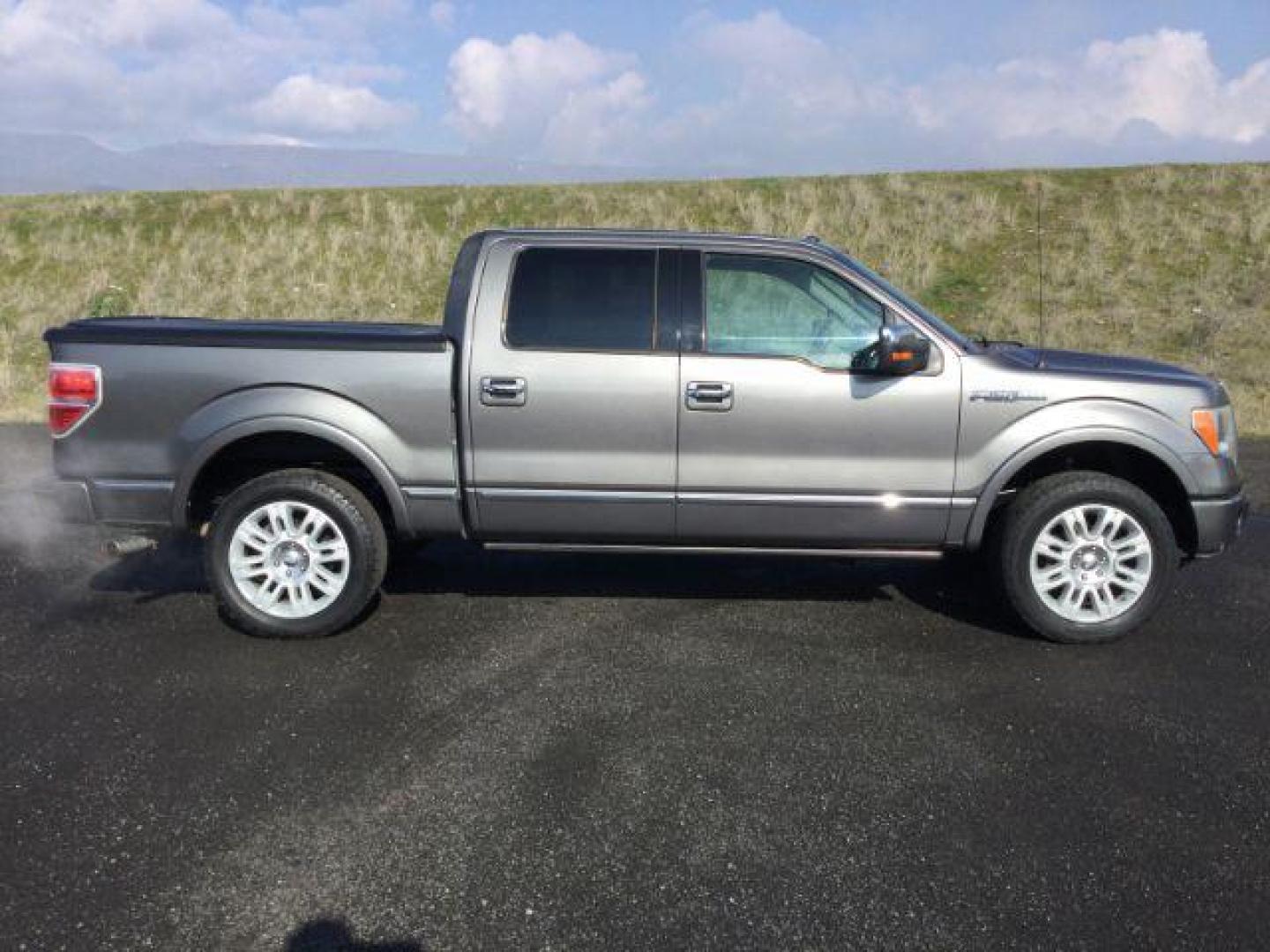 2009 Sterling Gray Metallic /Medium Stone Leather Interior Ford F-150 Platinum crew cab 4x4 (1FTPW14VX9F) with an 5.4L V8 SOHC 24V FFV engine, 4-Speed Automatic transmission, located at 1801 Main Street, Lewiston, 83501, (208) 743-9371, 46.417065, -117.004799 - Photo#16