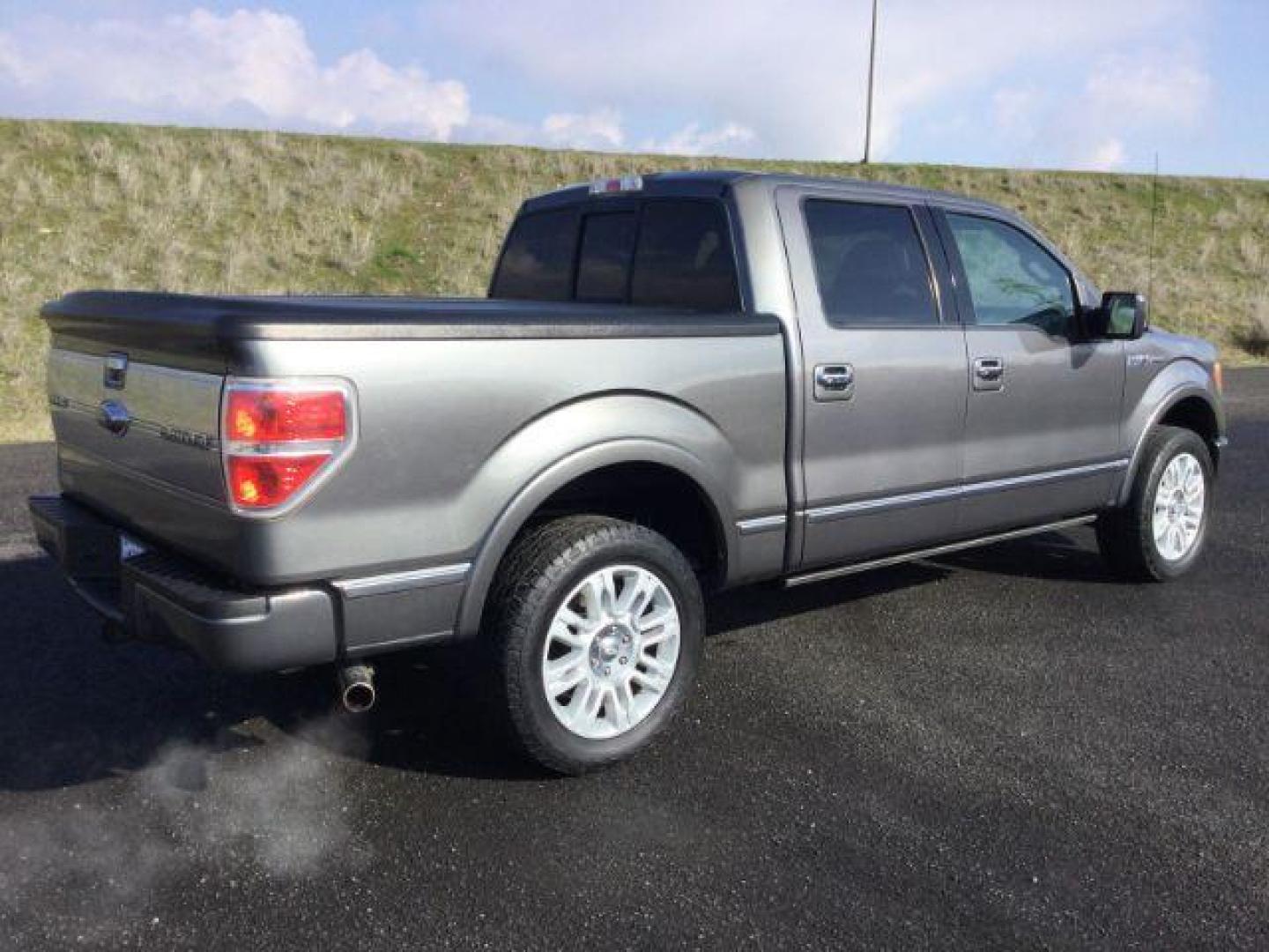 2009 Sterling Gray Metallic /Medium Stone Leather Interior Ford F-150 Platinum crew cab 4x4 (1FTPW14VX9F) with an 5.4L V8 SOHC 24V FFV engine, 4-Speed Automatic transmission, located at 1801 Main Street, Lewiston, 83501, (208) 743-9371, 46.417065, -117.004799 - Photo#17