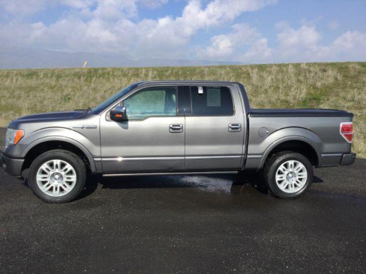 2009 Sterling Gray Metallic /Medium Stone Leather Interior Ford F-150 Platinum crew cab 4x4 (1FTPW14VX9F) with an 5.4L V8 SOHC 24V FFV engine, 4-Speed Automatic transmission, located at 1801 Main Street, Lewiston, 83501, (208) 743-9371, 46.417065, -117.004799 - Photo#1