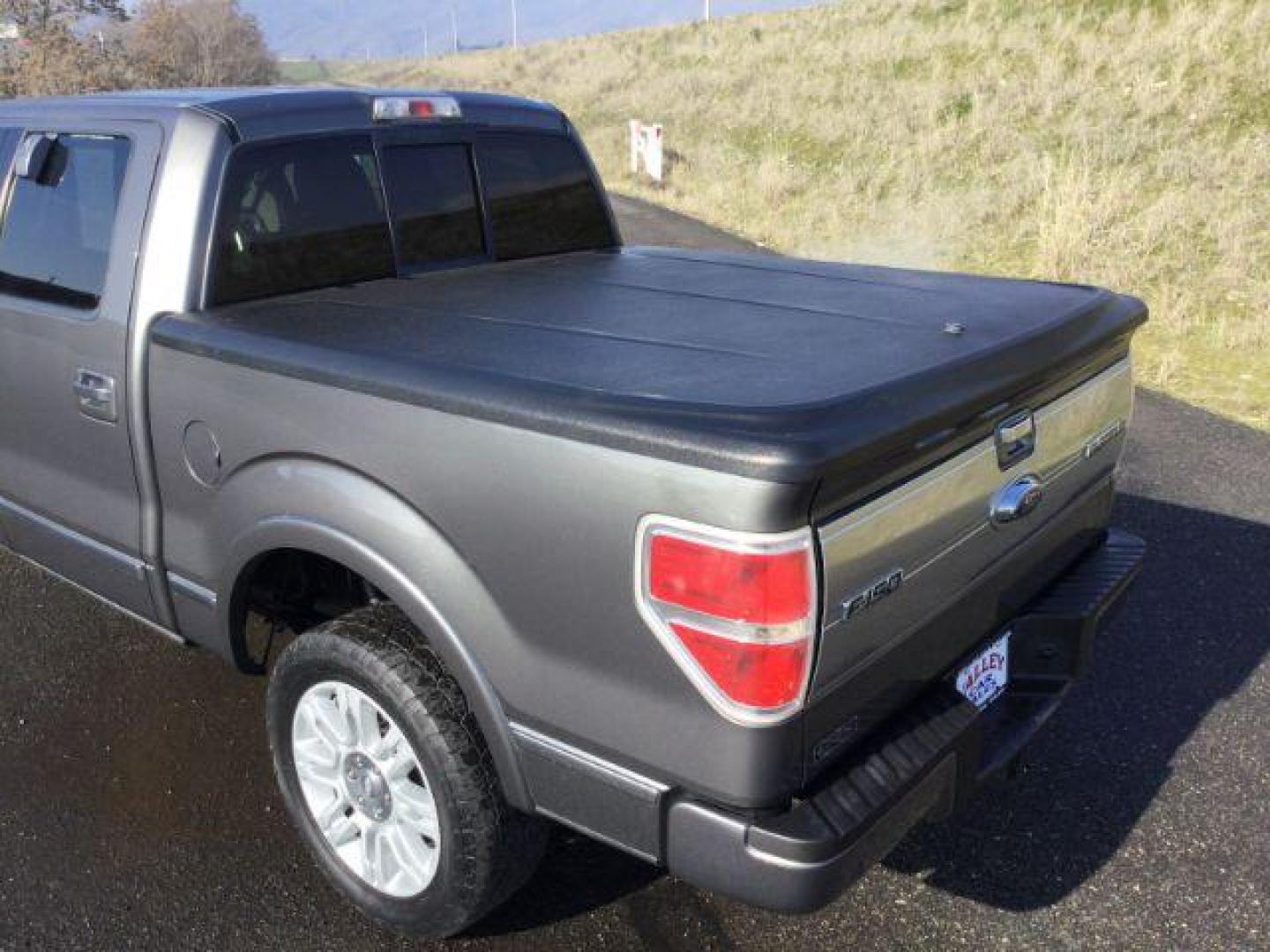 2009 Sterling Gray Metallic /Medium Stone Leather Interior Ford F-150 Platinum crew cab 4x4 (1FTPW14VX9F) with an 5.4L V8 SOHC 24V FFV engine, 4-Speed Automatic transmission, located at 1801 Main Street, Lewiston, 83501, (208) 743-9371, 46.417065, -117.004799 - Photo#7