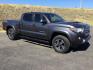 2017 GRAY /BLACK LEATHER Toyota Tacoma SR5 Double Cab Super Long Bed V6 6AT 4WD (5TFDZ5BN8HX) with an 3.5L V6 DOHC 24V engine, 6-Speed Automatic transmission, located at 1801 Main Street, Lewiston, 83501, (208) 743-9371, 46.417065, -117.004799 - Photo#15