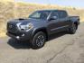 2020 Magnetic Gray Metallic /Cement Gray, cloth Toyota Tacoma SR5 Double Cab Super Long Bed V6 6AT 4WD (5TFDZ5BN7LX) with an 3.5L V6 DOHC 24V engine, 6-Speed Automatic transmission, located at 1801 Main Street, Lewiston, 83501, (208) 743-9371, 46.417065, -117.004799 - Photo#0