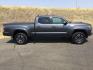 2020 Magnetic Gray Metallic /Cement Gray, cloth Toyota Tacoma SR5 Double Cab Super Long Bed V6 6AT 4WD (5TFDZ5BN7LX) with an 3.5L V6 DOHC 24V engine, 6-Speed Automatic transmission, located at 1801 Main Street, Lewiston, 83501, (208) 743-9371, 46.417065, -117.004799 - Photo#7