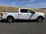 2015 White Platinum Metallic Tri-Coat /GRAY LEATHER Ford F-150 Lariat SuperCrew 6.5-ft. Bed 4WD (1FTFW1EG1FK) with an 3.5 V6 engine, 6-Speed Automatic transmission, located at 1801 Main Street, Lewiston, 83501, (208) 743-9371, 46.417065, -117.004799 - Photo#12