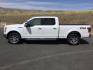 2015 White Platinum Metallic Tri-Coat /GRAY LEATHER Ford F-150 Lariat SuperCrew 6.5-ft. Bed 4WD (1FTFW1EG1FK) with an 3.5 V6 engine, 6-Speed Automatic transmission, located at 1801 Main Street, Lewiston, 83501, (208) 743-9371, 46.417065, -117.004799 - Photo#1