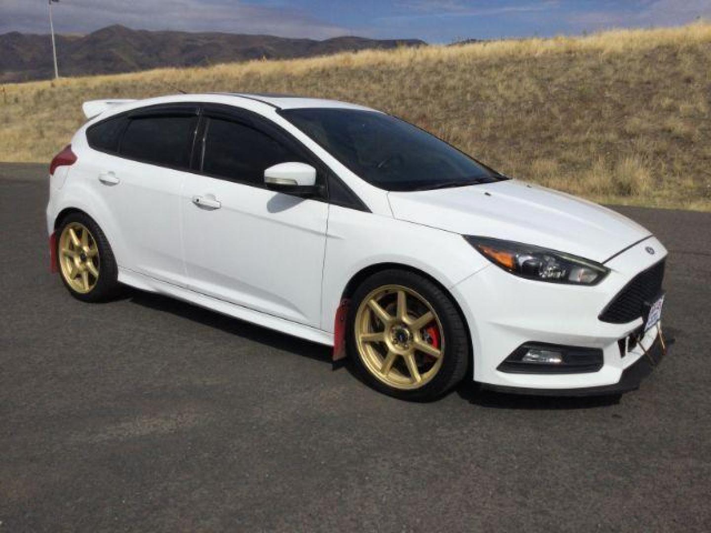 2017 Oxford White /Charcoal Black, leather Ford Focus ST Hatch (1FADP3L94HL) with an 2.0L L4 DOHC 16V engine, 6-Speed Manua transmission, located at 1801 Main Street, Lewiston, 83501, (208) 743-9371, 46.417065, -117.004799 - Photo#7