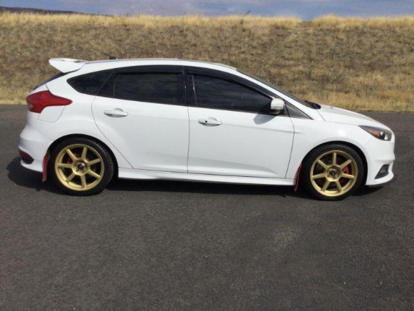 2017 Oxford White /Charcoal Black, leather Ford Focus ST Hatch (1FADP3L94HL) with an 2.0L L4 DOHC 16V engine, 6-Speed Manua transmission, located at 1801 Main Street, Lewiston, 83501, (208) 743-9371, 46.417065, -117.004799 - Photo#8