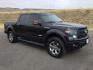 2013 Black /BLACK LEATHER Ford F-150 FX4 SuperCrew 5.5-ft. Bed 4WD (1FTFW1ET8DK) with an 3.5L V6 TURBO engine, 6-Speed Automatic transmission, located at 1801 Main Street, Lewiston, 83501, (208) 743-9371, 46.417065, -117.004799 - Photo#10