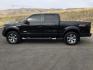 2013 Black /BLACK LEATHER Ford F-150 FX4 SuperCrew 5.5-ft. Bed 4WD (1FTFW1ET8DK) with an 3.5L V6 TURBO engine, 6-Speed Automatic transmission, located at 1801 Main Street, Lewiston, 83501, (208) 743-9371, 46.417065, -117.004799 - Photo#1