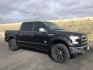 2015 Tuxedo Black Metallic /King Ranch Brown Leather Seats Ford F-150 King-Ranch SuperCrew 5.5-ft. Bed 4WD (1FTEW1EG2FF) with an 3.5L V6 TURBO engine, 6-Speed Automatic transmission, located at 1801 Main Street, Lewiston, 83501, (208) 743-9371, 46.417065, -117.004799 - Photo#7