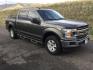 2019 Magnetic Metallic /Medium Earth Gray, cloth Ford F-150 XLT SuperCrew 5.5-ft. Bed 4WD (1FTEW1E53KK) with an 5.0L V8 OHV 32V engine, 10 speed automatic transmission, located at 1801 Main Street, Lewiston, 83501, (208) 743-9371, 46.417065, -117.004799 - Photo#8