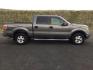 2014 Sterling Gray Metallic /Steel Gray Ford F-150 XLT SuperCrew 5.5-ft. Bed 4WD (1FTFW1EF7EF) with an 5.0L V8 engine, 6-Speed Automatic transmission, located at 1801 Main Street, Lewiston, 83501, (208) 743-9371, 46.417065, -117.004799 - Photo#11