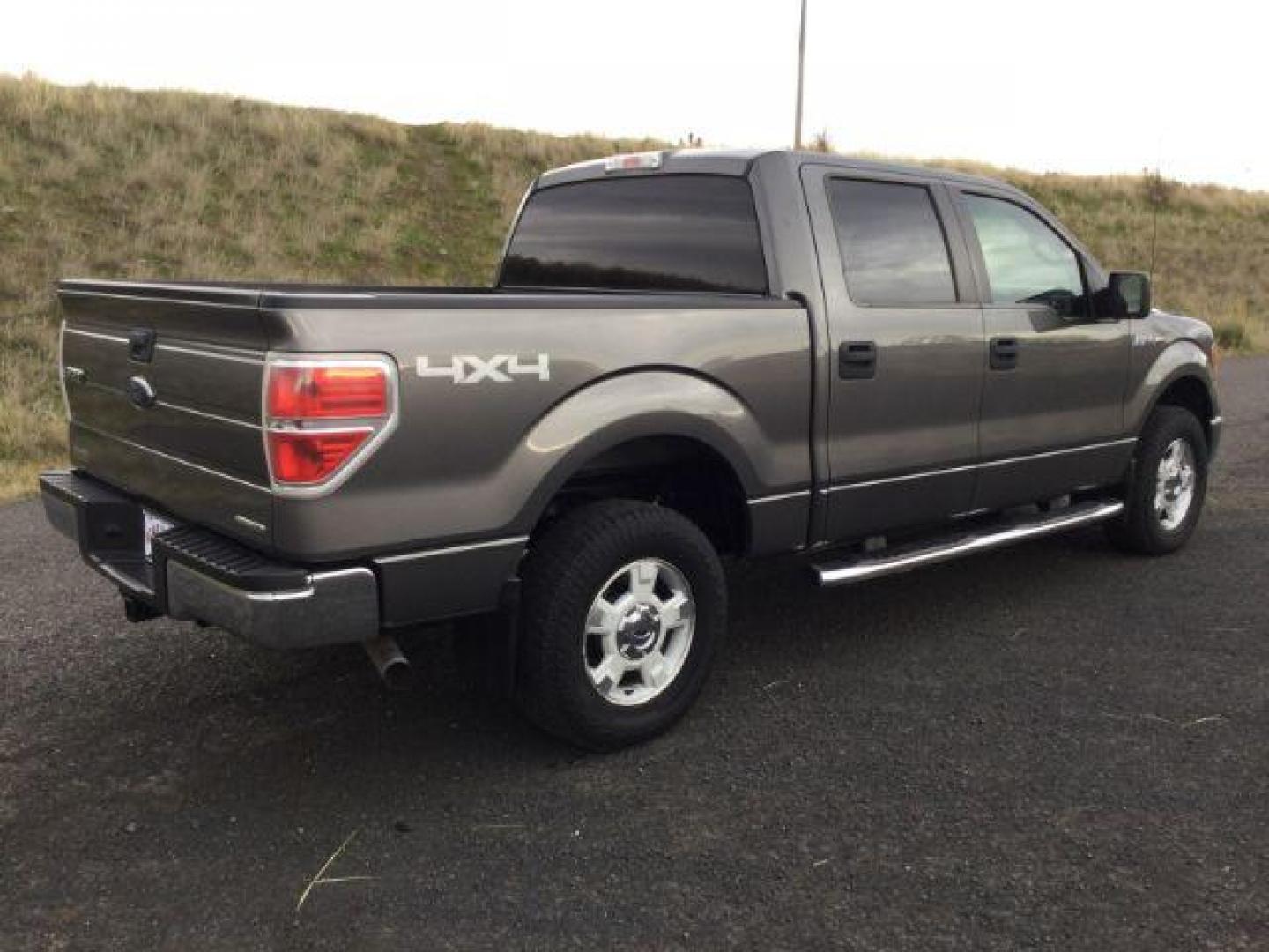 2014 Sterling Gray Metallic /Steel Gray Ford F-150 XLT SuperCrew 5.5-ft. Bed 4WD (1FTFW1EF7EF) with an 5.0L V8 engine, 6-Speed Automatic transmission, located at 1801 Main Street, Lewiston, 83501, (208) 743-9371, 46.417065, -117.004799 - Photo#12