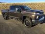 2021 Oxford Brown Metallic /Jet Black Chevrolet Silverado 3500HD 4WD Crew Cab Standard Bed LTZ | (1GC4YUEY9MF) with an 6.6L V8 OHV 32V TURBO DIESEL engine, 10-speed automatic transmission, located at 1801 Main Street, Lewiston, 83501, (208) 743-9371, 46.417065, -117.004799 - Photo#11